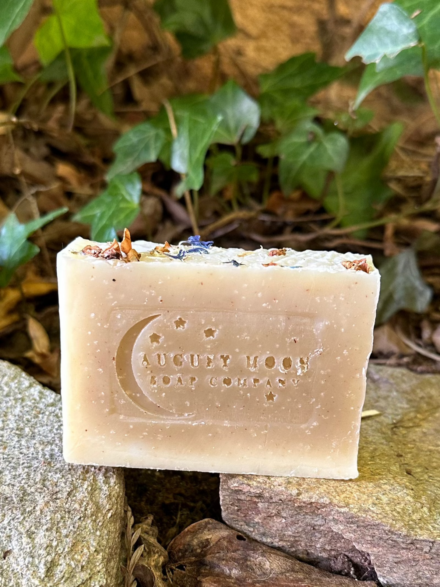 Cedar & Lavender